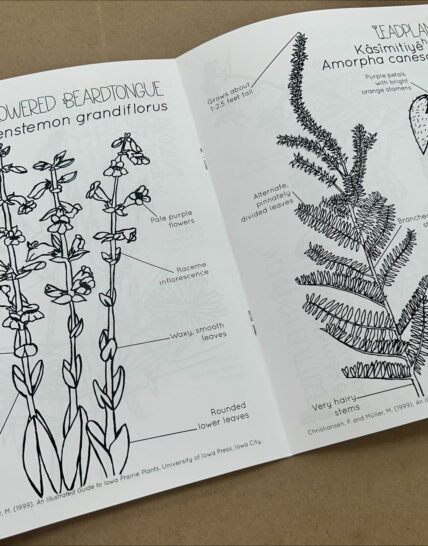 Coloring Book Open